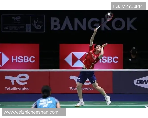 南京羽毛球队在杯赛中的实力展现与未来发展潜力分析