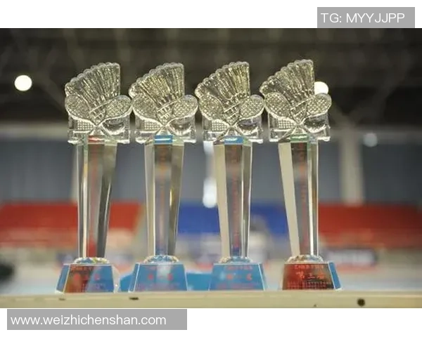 南京羽毛球队总决赛心理素质分析与表现评估